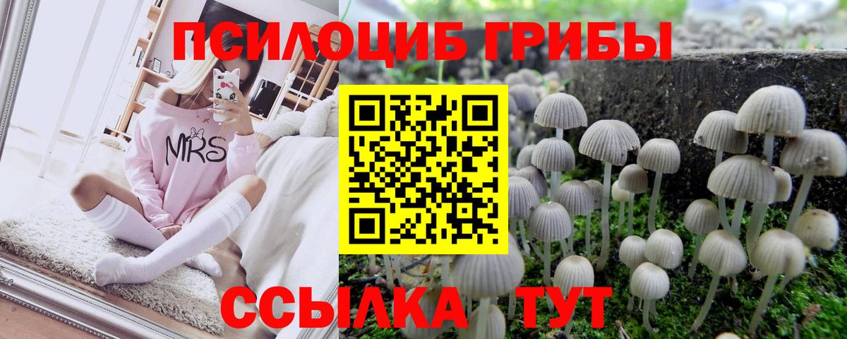 Галлюциногенные грибы Magic Shrooms  Вход с VPN  Ишим  Галлюциногенные грибы Psilocybe 